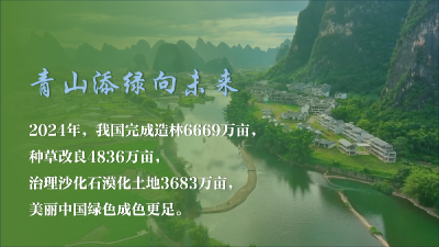 微视频｜青山添绿向未来