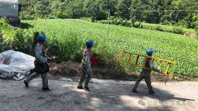 战高温、保供电！保康供电人奋战一线无惧 “烤” 验 