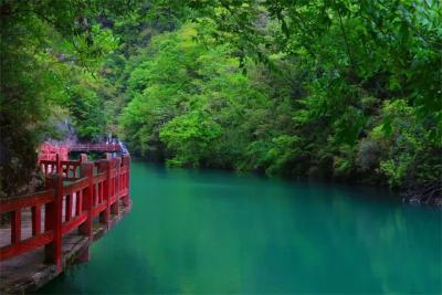 【“一区三地”启宏图 “两山”实践奏强音】享溶洞凉意，览云端胜景！保康夏日避暑新“CP景点”上线 