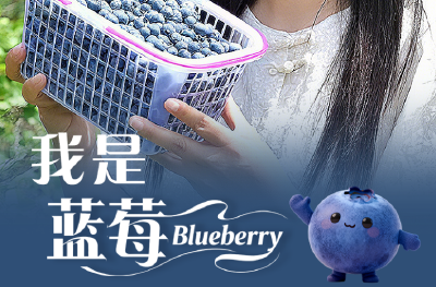 襄阳保康：点开看看我是谁……