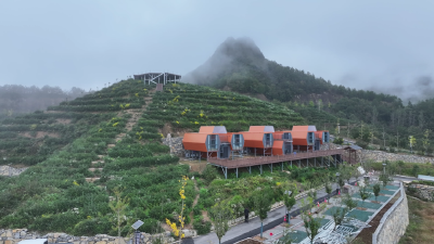 从“单点突破”迈向“全域提升”！保康培育“实力产业”赋能乡村振兴 