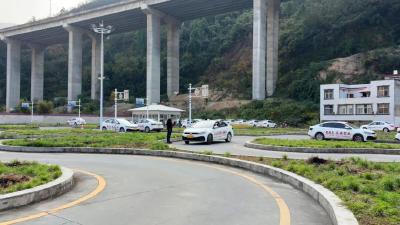 精准帮扶+严格监管！保康驾培行业提质焕新 