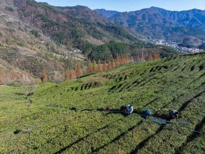 4000万中彩公益金加持！保康 “红+绿” 绘就革命老区振兴新图景 