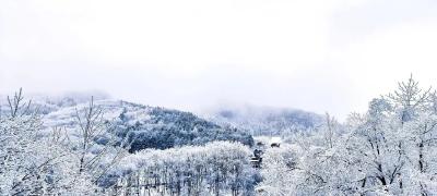 保康下雪啦！第一波雪景图来袭→