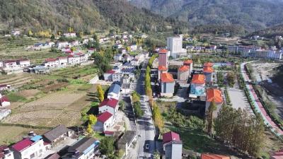 特色产业赋能，人居环境添彩！在保康，中彩公益金激活革命老区发展动能