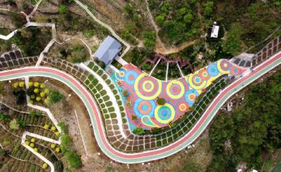 步步见绿，四季有景 ！保康下足“绣花功夫”提升城市品质