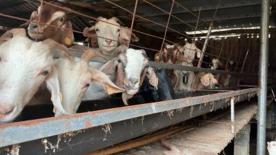 保康田先生，政府补偿3500元已到账