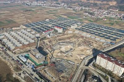 襄阳保康：科技赋能“鲟”新路！鲟鱼“游”出全产业链