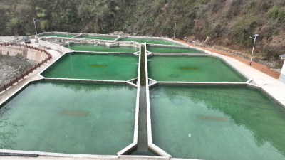 襄阳保康：“鲟”出产业振兴路 