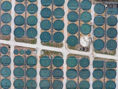 产业升级再传捷报！保康马桥农产品深加工项目主体封顶