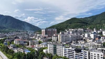 襄阳保康：“两资三能”激活高质量发展“一池春水”