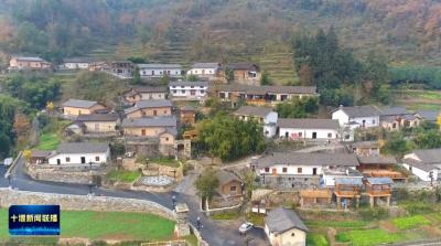 十堰“淘宝村”来了AI助手