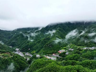 鄂西北深处，藏着怎样的“美丽密码”？