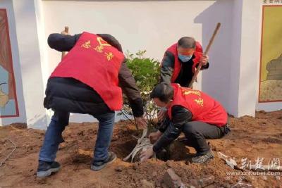 【荆楚网】当阳：干群齐心共建小区