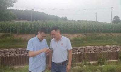 当阳市首次实现耕地“码”上管理