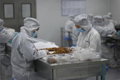 鄂产“惊喜”藏不住 荆楚大地好物多 