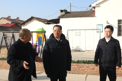 深入实地走访调研   促进镇（街道）高质量发展