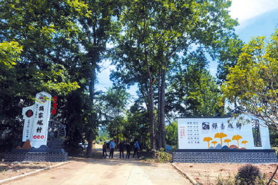 随州：水库移民后扶项目助力移民群众美好生活