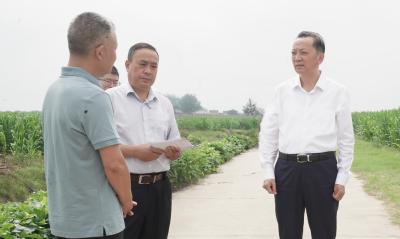李兴兵到草埠湖镇调研