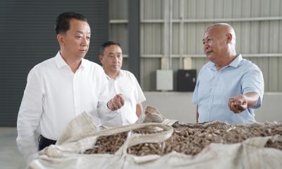 李兴兵到半月镇调研