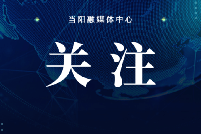 风险预警提示