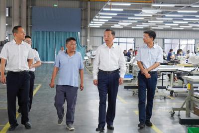 李兴兵到两河镇、淯溪镇调研