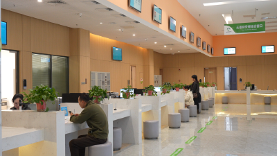 当阳：“一窗受理”改革绘就便民利企新图景