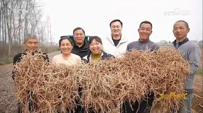 当阳三个90后的“返乡经济学”