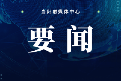 我市召开湖北徽阳新材料项目调度会