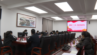 全县“畅谈二十大 青年有作为”座谈会召开