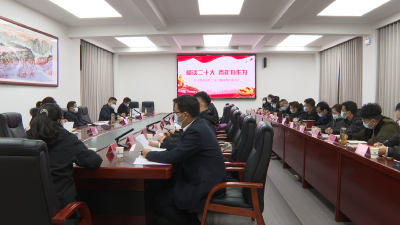 全县“畅谈二十大 青年有作为”座谈会召开  