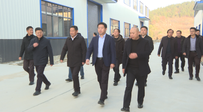 三环集团有限公司总裁王汉荣来我县考察交流