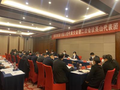 【快讯】我县出席市“两会”的代表委员认真审议讨论市政府工作报告