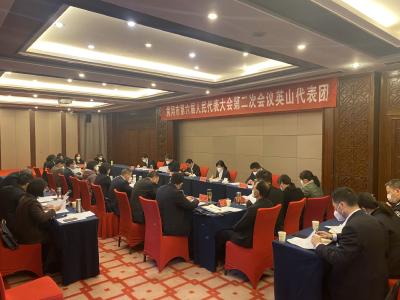 【快讯】出席市六届人大二次会议英山代表团审议人大、法院、检察院工作报告