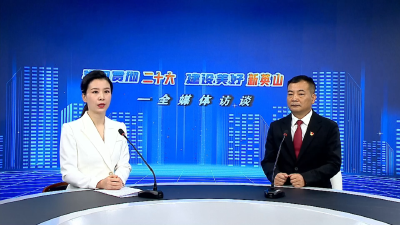 【全媒体访谈】担当新使命 奋力谱写健康食品招商新篇章——专访健康食（饮）品产业招商分局局长段卫东
