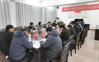 【快讯】王海霞参加指导2022年度温泉镇党委领导班子专题民主生活会
