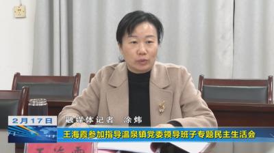 王海霞参加指导温泉镇2022年度党委领导班子民主生活会