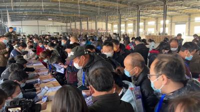 【赓续红色血脉 加快绿色崛起】县人社局：打造旗帜人社 争做惠民先锋