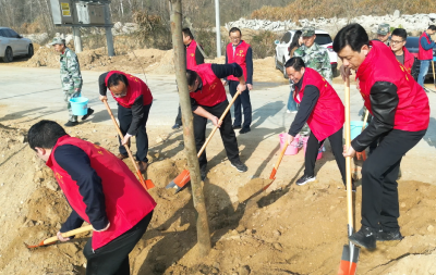 郑光文率县四大家领导参加义务植树活动 