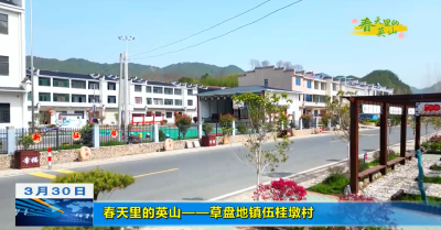 【视频】春天里的英山——草盘地镇伍桂墩村