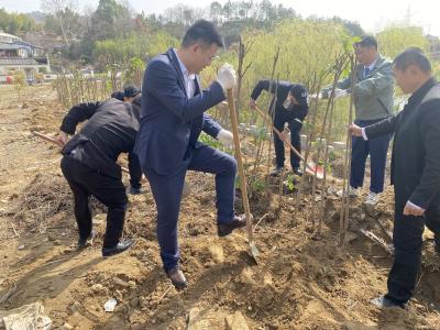洪广毕昇温泉度假村开展义务植树文明实践活动