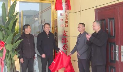 我县积极推进国有粮企“一县一企”改革