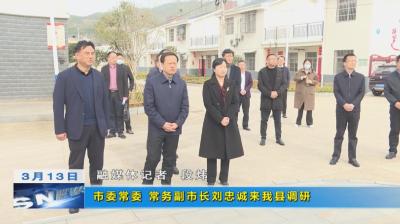 市委常委、常务副市长刘忠诚来我县调研