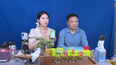 【视频】英山云雾茶业：线上直播带货 助力春茶热销