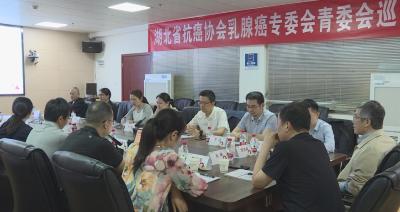 湖北省抗癌協(xié)會乳腺癌專委會青委會來我縣開展學(xué)術(shù)交流