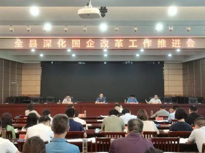 全县深化国企改革工作推进会暨国企产权登记工作培训会召开