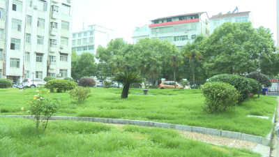 【城镇管理百日攻坚·共建共享】用绿色点“靓”庭院  助力省级园林城创建