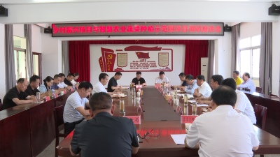 【视频】郑光文到西河沿线调研智慧农业蔬菜种植示范园项目建设和乡村振兴工作