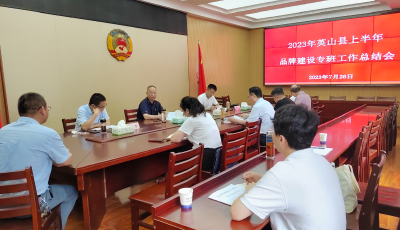 英山县上半年品牌建设专班工作总结会召开