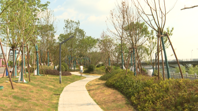 城区又增一处“口袋”公园 助力省级园林城创建